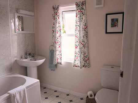 Manse downstairs bathroom