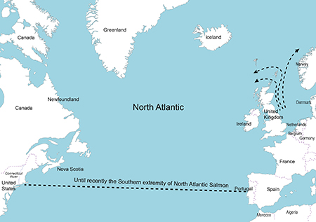 Migration Routes